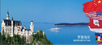 网站设计开发：中国（惠州）国际文化产业基地官方网站创意设计