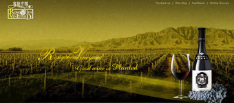 网站设计开发：容辰庄园葡萄酒