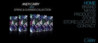 网站设计开发：广州宝丽鞋业