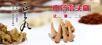 网站设计开发：三九正天丸药品中药产品营销网站设计