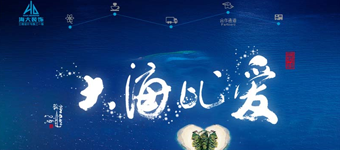 网站设计开发：国内知名装饰企业海大装饰网站设计