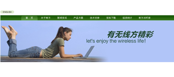 网站设计开发：深圳有方科技科技无线产品公司网站设计