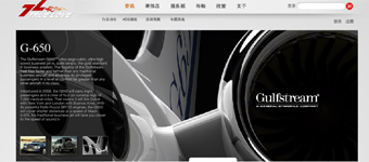 网站设计开发：TURELOVE奢侈品牌网站设计建设