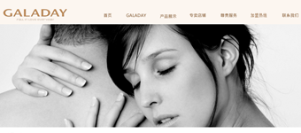 网站设计开发：GALADAY服饰皮具手袋企业时尚品牌网站策划设计