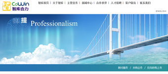 网站设计开发：智库合力咨询顾问管理机构网站设计