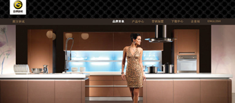 网站设计开发：金牌橱柜家具家居行业网站开发建设