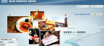 网站设计开发：山东蓝海集团网站建设开发