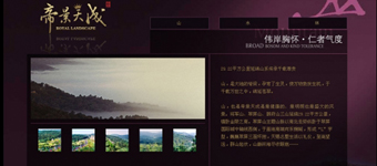 房地产网站设计开发：帝景天成别墅房地产网站全FLASH设计开发