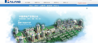 网站设计开发：行业龙头企业海亮上市集团公司网站品牌设计