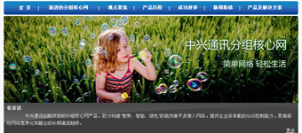 网站设计开发：zte中兴通讯年度设计服务一季度部分案例