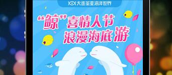 主题公园景区微信营销：大连圣亚海洋世界案例--“鲸”喜情人节，浪漫海底游
